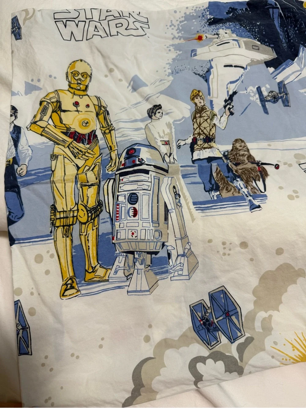 Pottery Barn Star Wars: The Empire Strikes Back flat sheet and pillow case